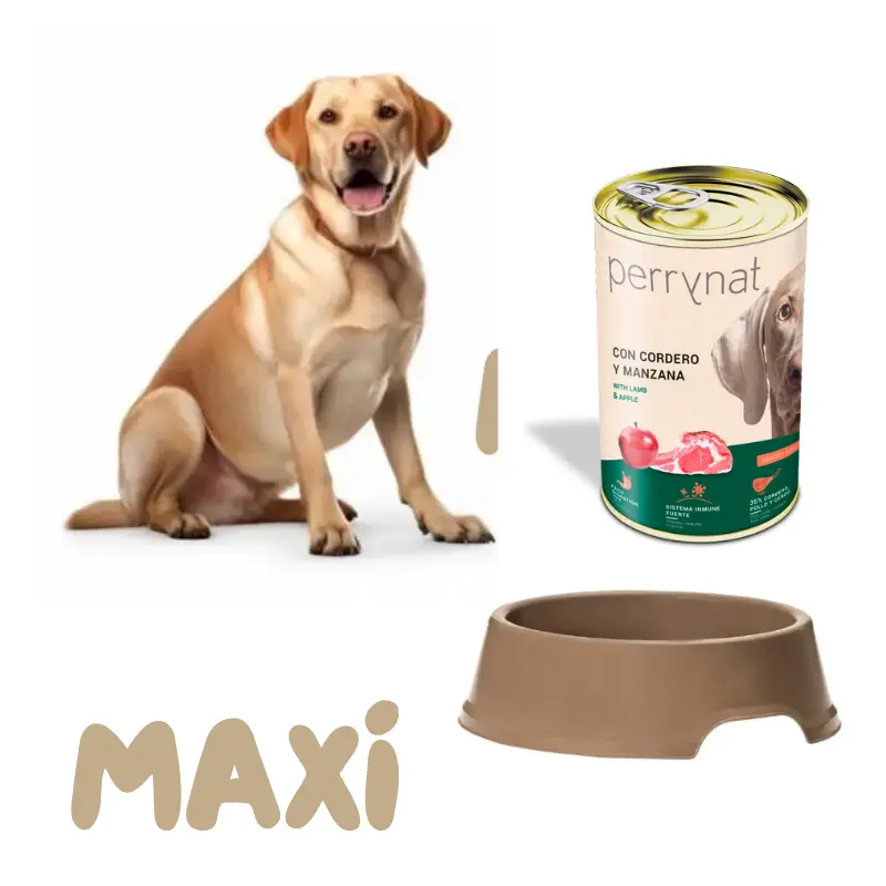 plato comedero-antivuelco-perros-grandes-artplast-255mm pienso dibaq envío rápido precio barato