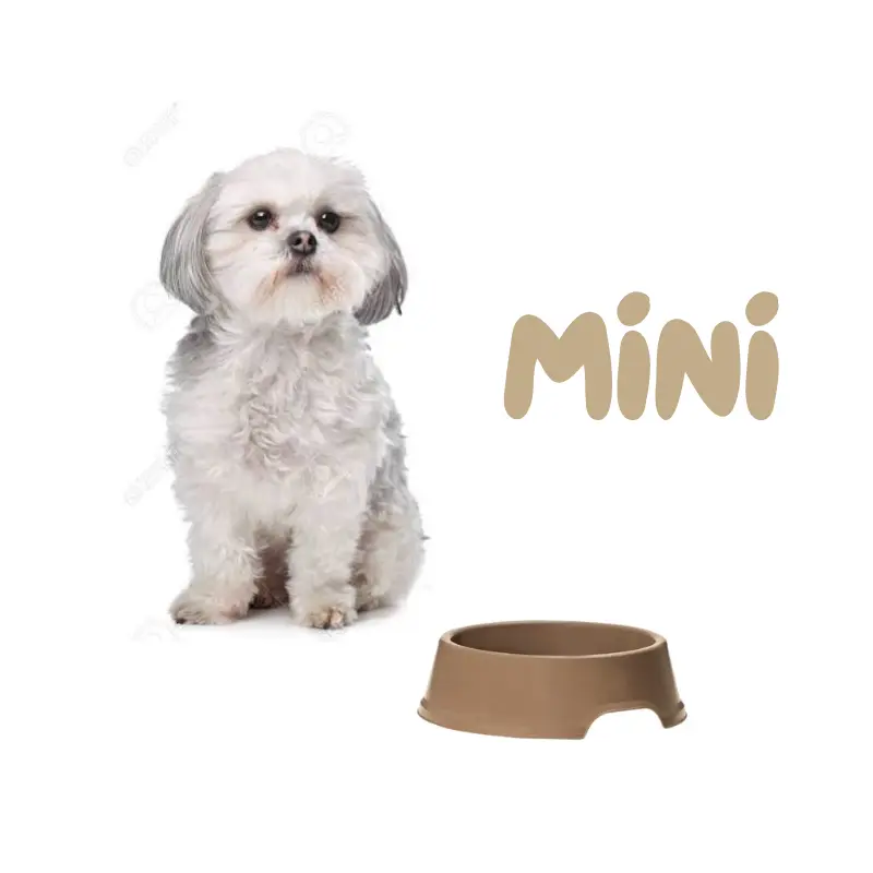 tolva cuenco plato comedero para mascotas mini perros y gatos envío rápido precio barato